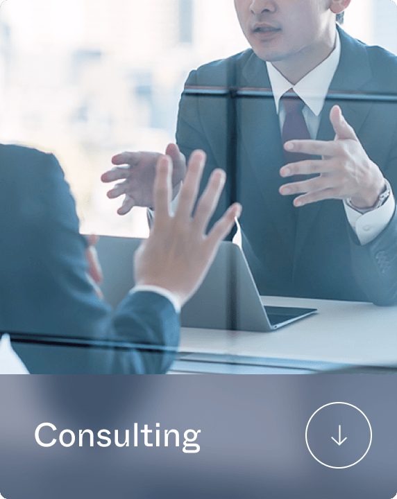 Consulting